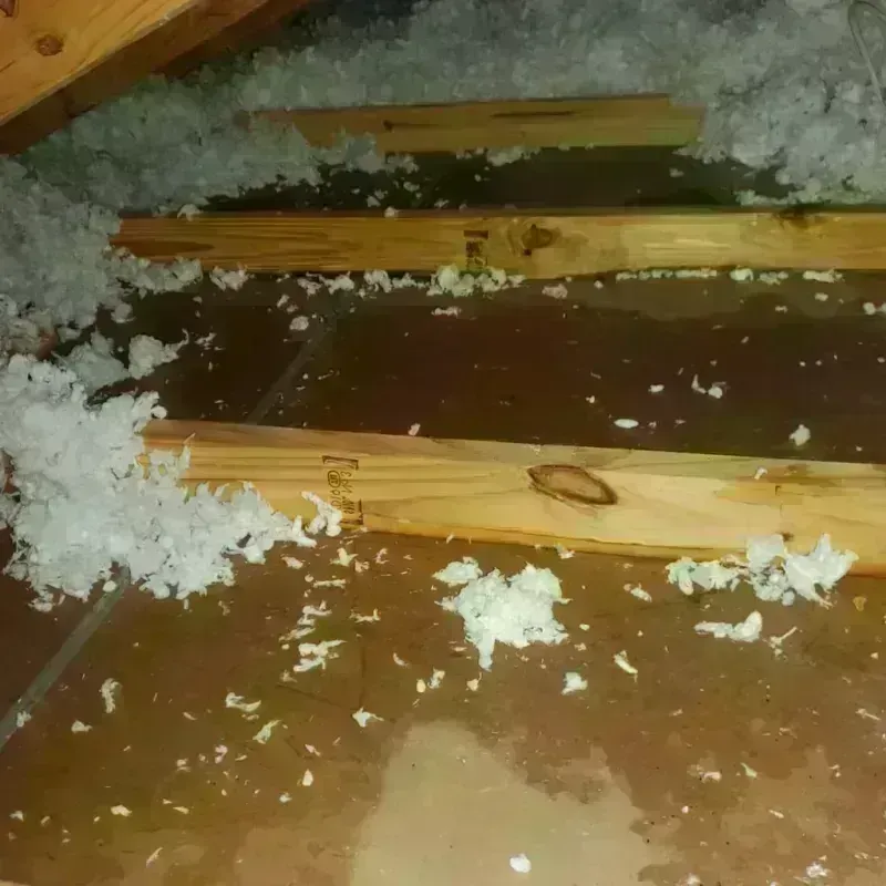 Attic Water Damage in Summersville, WV